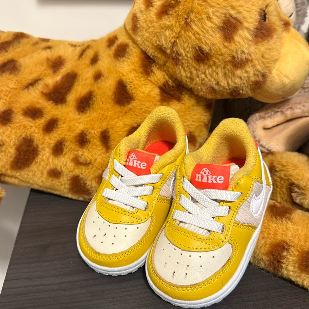 Mushroom Airforce 1s